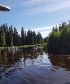 Luxy Float Inflatable Pool Float, Large Water Pool Toys for Adults and Family, Swimming Pool Floats for Party Fun Dragon 38 81mXrHXOzyL