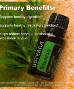 doTERRA Rosemary Essential Oil 15 ml Camphoraceous, Herbaceous 0.51 Fl Oz (Pack of 1) 16 81mY5TWxcOL