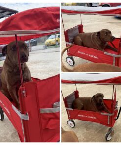 Radio Flyer 3-In-1 EZ Folding, Outdoor Collapsible Wagon for Kids & Cargo, Red Folding Wagon Canopy 78 81marwx1QJL