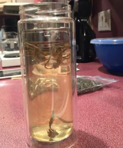 Sun's Tea 18oz Wide Mouth Ultra Clear Spill-proof Strong Double-wall 3-Piece Borrosilicate Glass Tumbler with Strainer and Lid (flat top lid) 30 81mbsOUgklL