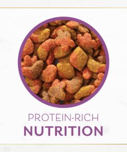 Purina Fancy Feast Dry Cat Food with Savory Chicken and Turkey - 12 lb. Bag Chicken & Turkey 12 Pound (Pack of 1) 31 81mdYM71CTL