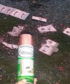 Rust-Oleum 1937830 Specialty Leafing Paint Metallic Spray, 11 Ounce (Pack of 1), Copper 48 81mh4CRqu5L