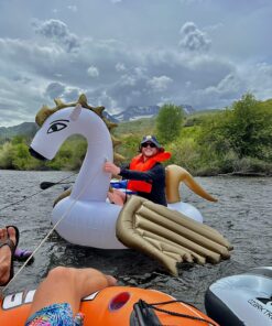 Jasonwell Giant Inflatable Pool Float - Golden Swan Pegasus Pool Floatie Summer Beach Swimming Outdoor Pool Party Lounge Raft Decorations Toys for Adults & Kids 32 81mjPw7P2aL 1