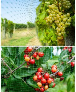 CandyHome 13Ft x 33Ft Anti Bird Protection Mesh Garden Netting Seedlings Plants Flowers Fruit Trees Vegetables from Rodents Deer Reusable Fencing, 13Ft x 33Ft, Green 19 81mm0fPsBWL