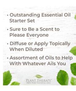 Plant Therapy 7 & 7 Essential Oils Set 7 Single Oils: Lavender, Peppermint & More, 7 Synergy Blends 100% Pure, Undiluted, Natural Aromatherapy, Therapeutic Grade 10 mL (1/3 oz) 7 & 7 Set 0.34 Fl Oz (Pack of 14) 23 81mmjHARBhL