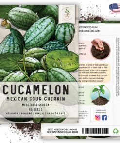 Seed Needs, Cucamelon Seeds - 65 Heirloom Seeds for Planting Melothria scobra - Mexican Sour Gherkin Non-GMO & Untreated, Boasts a Light Citrus Flavor, (2 Packs) 2 Packs (130 Seeds) 32 81mppMW nL