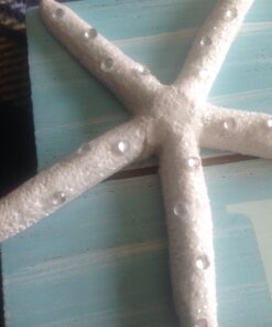 Grasslands Road Wall Starfish GR Beach is My Happy Place Plaque, Medium, White, Blue 39 81mzHsrR QL