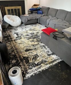 Carpet Miracle - Carpet Cleaner Shampoo Solution for Machine Use, Deep Stain Remover and Odor Deodorizing Formula, Use On Rug Car Upholstery and Carpets (32FL OZ) Spring Mint Scent 32 Fl Oz (Pack of 1) 40 81n lvrJZ6L