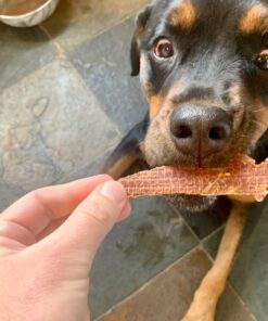 Kingdom Pets Duck Breast Jerky, Premium Treats for Dogs, 40 oz. Bag 50 81n1rS7Wx4L