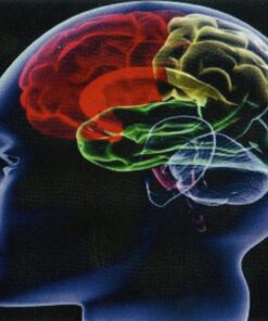 Mephisto Sex Pheromone Musk Cologne