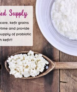 2TBSP Active Organic Milk Kefir Grains Ebook: "Milk Kefir Unleashed" 1 Count (Pack of 1) 28 81n7yxxtK1S