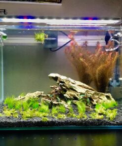 VIVOSUN Hydroponics CO2 Regulator Emitter System with Solenoid Valve Flowmeter for Grow Room Grow Tent Garden House Aquarium 38 81nABzb5 jL