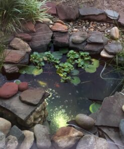 API POND ACCU-CLEAR Pond Water Clarifier 16-Ounce Bottle Pond Treatment 16 oz 21 81nIEwURfFL