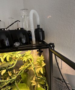 Croci Zoo Med Reptile Fogger Terrarium Humidifier,Black 20 81nIV7I5gQL