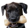 Nylabone Power Chew Knuckle Bone Big Dog Chew Toy Knuckle Chicken XX-Large/Monster (1 Count) XX-Large/Monster (1 Count) Natural 51 81nJ3ZpQmiL