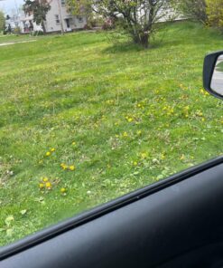 Scotts Turf Builder Weed & Feed3, Weed Killer Plus Lawn Fertilizer, Controls Dandelion and Clover, 5,000 sq. ft., 14.29 lbs. 5,000 sq. ft. Weed and Feed 59 81nLa3jvmLL