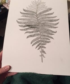 STAEDTLER Pigment Liner Bonus Sketch Set of 6 Liners for the Regular Price of 4(2 free), 308 SB6P Mixed set Black 6 Count (Pack of 1) 36 81nOMpvGhL