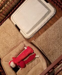 IRIS USA Small Pet Training Pad Holder, Dark Gray 17"x17" 57 81nQ0SSwQ3L