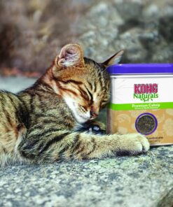 KONG - Naturals Premium Catnip - Premium North American Grown - 2 Ounce 34 81nSAPbRwWL