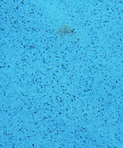 Purity Pool OS Out Spot Stain Remover 33 81nSb0EGTwL