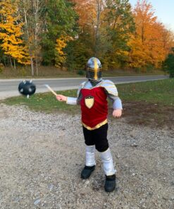 Nicky Bigs Novelties Medieval Templar Knight Helmet Costume Headwear, Silver, One Size 25 81nTzlm GvL