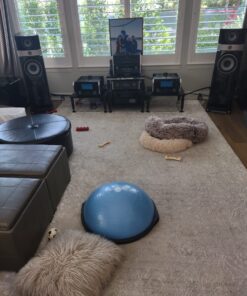 Bosu Home Gym Equipment The Original Balance Trainer 26 Inch Diameter Light Blue/Black 32 81nUHcTx0LL