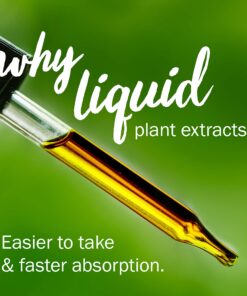 Herb Pharm Certified Organic Goldenseal Liquid Extract for Respiratory System Support, Organic Cane Alcohol, 1 Ounce 1 Fl Oz (Pack of 1) 14 81nWSZHuZaL 1