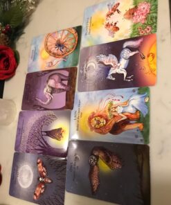 The Animal Wisdom Tarot: An inspirational guide to using tarot cards and their meanings 33 81nXJAIn92L