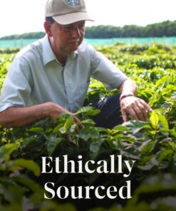 Starbucks K-Cup Coffee Pods, Holiday Blend Medium Roast Coffee For Keurig Brewers, 100% Arabica, Limited Edition Holiday Coffee, 6 Boxes (60 Pods Total) 60 Count (Pack of 6) 17 81nYJCpBOqL