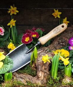 DeWit Forged Hand Trowel Standard Short Handle 10 81naxpjQNLL