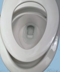 American Standard 5025A65G.020 TELESCOPING EL LUXURY SEAT WHT, White 17 81nexQNIg0L