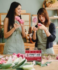 Be Smart Get Prepared First Aid Kit, 250 Piece. Exceeds OSHA ANSI Standards for Office, Home, Car, School, Emergency, Survival, Camping, Hunting, & Sports. FSA HSA 19 81nir992F8L