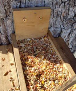 Kaytee Backyard Wildlife Food Blend For Wild Squirrels, Chipmunks, Rabbits and Other Backyard Wildlife, 5 Pound 5 Pound (Pack of 1) 27 81nk8RGSYRL