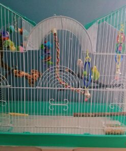 Prevue Hendryx Triple Roof Cockatiel Cage, Blue and White Blue & White 25 81nlqbjmpYL 5