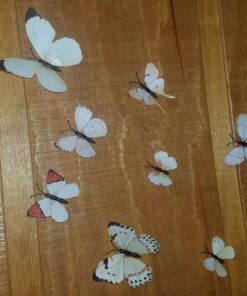 Amaonm® 60 Pcs 5 Packages Beautiful 3D Butterfly Wall Decals Removable DIY Home Decorations Art Decor Wall Stickers & Murals for Babys Bedroom Tv Background Living Room (White2) White2 33 81nofETIUzL