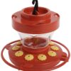 First Nature 993091-546 16 oz. Hummingbird Flower Feeder 2 81noidfyKkL