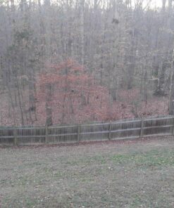 Toro 51619 Ultra Electric Blower Vac, 250 mph, Red 250 mph Blower/ Vac 35 81nqRTGSlCL