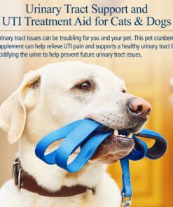 Rx Vitamins Cranberry Pills for Dogs - Cat Urinary Tract Medicine Support - UTI Treatment for Pets - Dog & Cat Urinary Relief Aid - 90 Cap. 7 81nqiyI0RmL