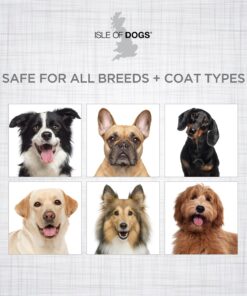 Isle of Dogs Keratin Volume Conditioner, 16 Ounce, MultiColor (830-16) 14 81nqln3wsQL 1