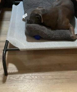 COOLAROO The Original Cooling Elevated Dog Bed, Indoor and Outdoor, Large, Grey 51.0"L x 31.5"W x 8.0"Th 33 81nxDyY5CL