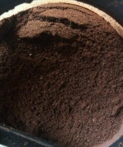 Java Planet Low Acid Coffee, Organic Guatemala Single Origin: Whole Bean Medium Roast - Smooth Full Flavored Coffee Bean, Smithsonian Bird Friendly, Two 1LB Bags 1 Pound (Pack of 2) 39 81nzpS01pmL