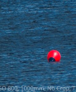 Big Mike’s High-Power 500mm/1000mm f/8 Manual Telephoto Lens for Nikon DSLR, Black 61 81o BYdxLL