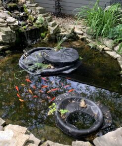 Aquascape 98949 Beneficial Bacteria Concentrate for Pond and Water Features, 1.1-Pound, white 27 81o hv lQmL