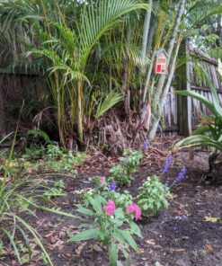 Niteangel Natural Wooden Insect Hotel, Garden Insect House for Ladybugs, lacewings, Butterfly, Bee, Bug 10 x 6 x 3.4 inch Red 36 81o0zH4TgPL