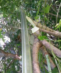 Masahiro MAZ-401 Damascus Sword of The Serpent 14 81o2EG5oz2L