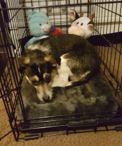 MidWest Homes for Pets Newly Enhanced Single Door iCrate Dog Crate, Includes Leak-Proof Pan, Floor Protecting Feet, Divider Panel & New Patented Features 22.5"L x 13.5"W x 16.0"H 41 81o2NR8BRmL