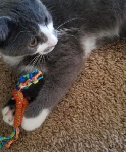 Petstages Dental Health Chews Pair Dental Chew 39 81o3nDDCJIL