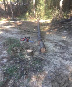 BLACK+DECKER 20V MAX Chainsaw Kit, Cordless, 10 inch, Tool-Free Chain Tensioning, Oil Lubrication System, Battery and Charger Included (LCS1020) 20V Chainsaw Kit 43 81o5rOuV GL