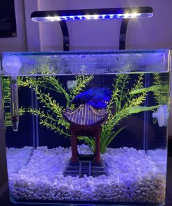 MarineLand Contour Glass Aquarium Kit with Rail Light 3-gallon 38 81o6bkDas L