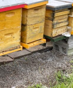 Mann Lake Bee-Pro Patties with Pro Health, Ready-to-Feed High Protein Pollen Substitute, Beekeeping Supplies, 10 lb 10 Pound (Pack of 1) 27 81oAFpfAkL